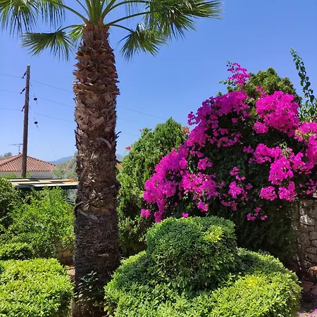 Louis' With View Apartment