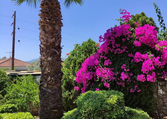 Louis' With View Apartment